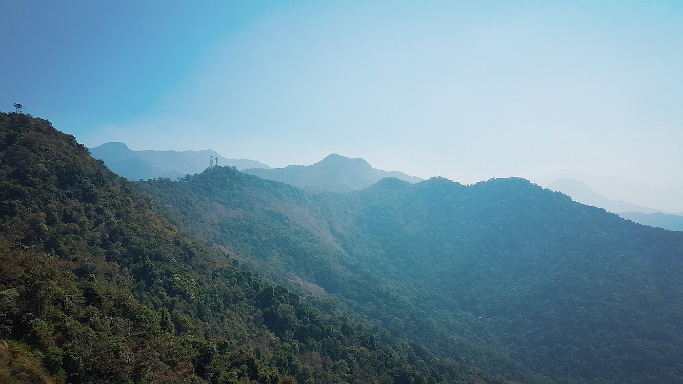 Waterfall cascading through the forest
