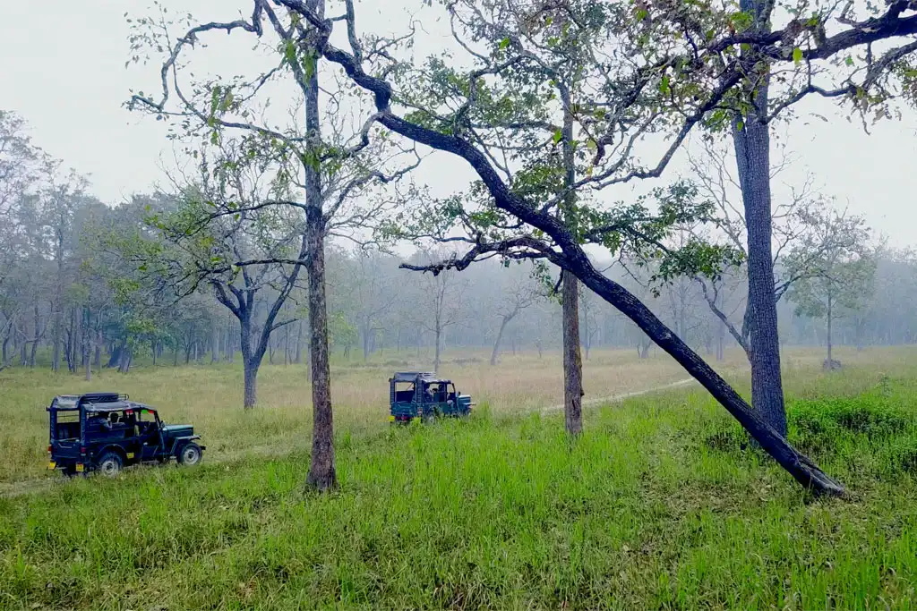Ancient rock carvings at Edakkal Caves