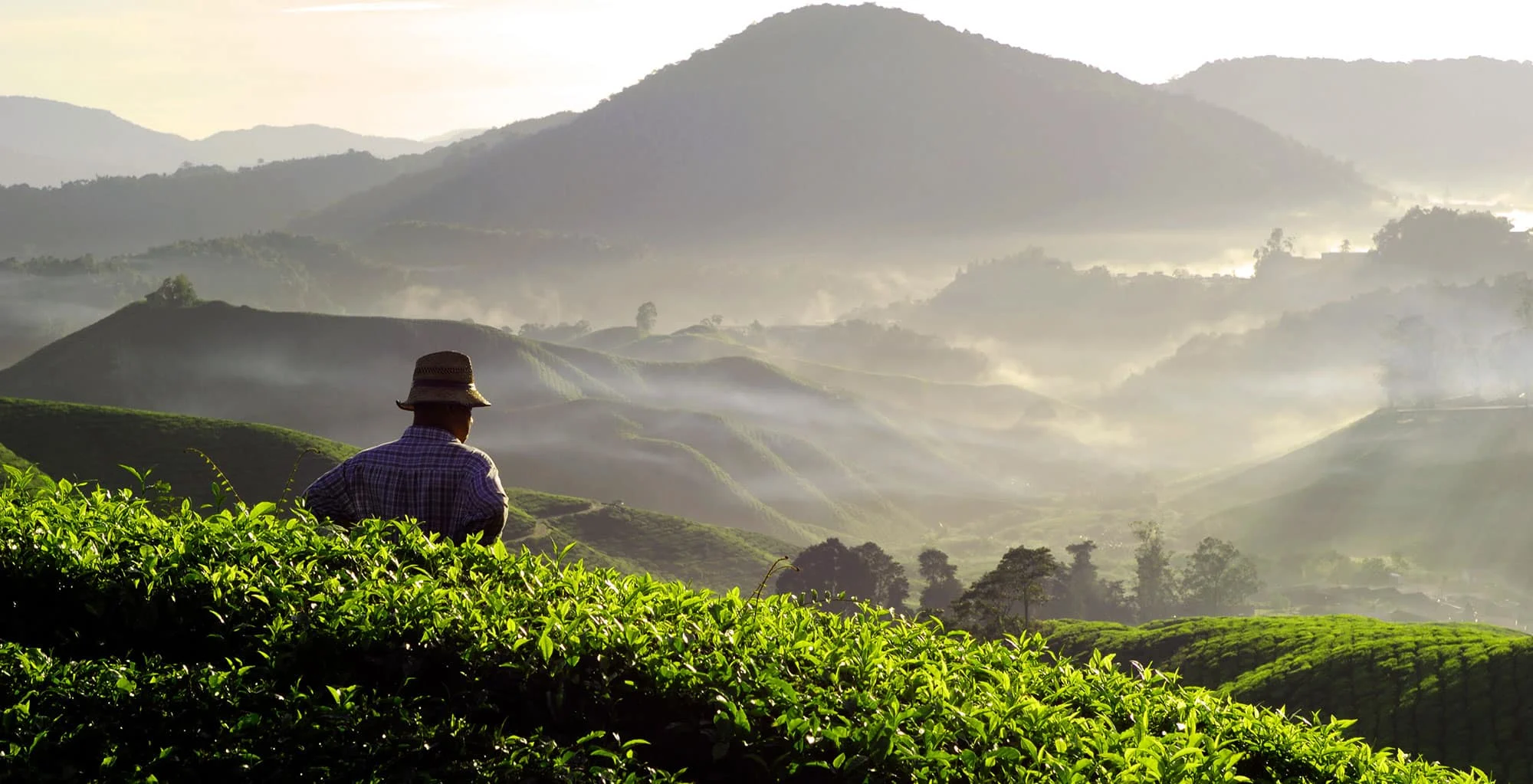 Summit view from Banasura Hill