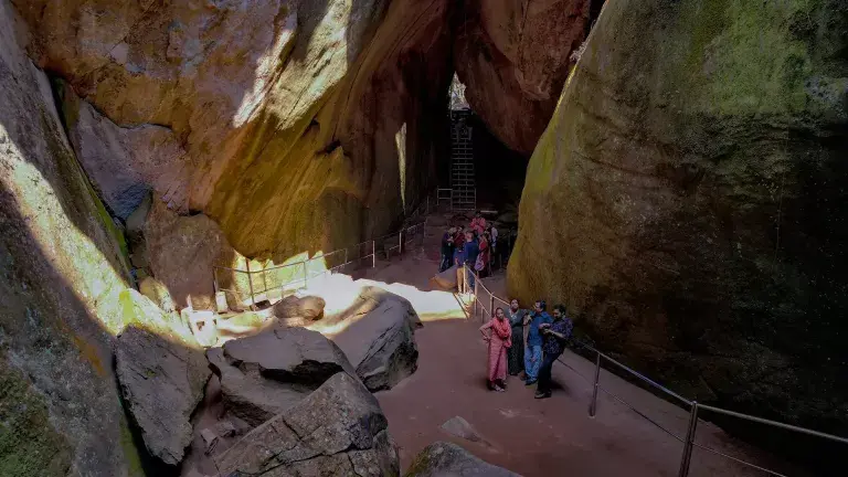 Jeep safari through Wayanad's forests